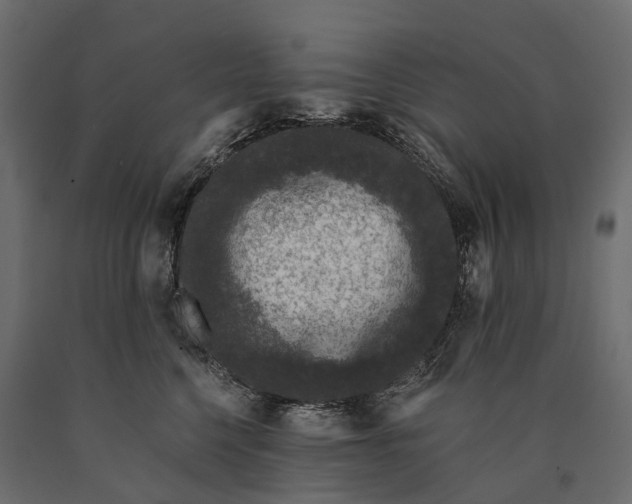 X0000090460568200708031244