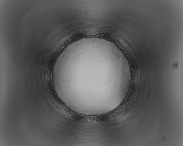 X0000090460569200708031244