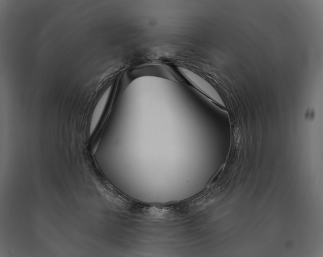 X0000090460570200708031244
