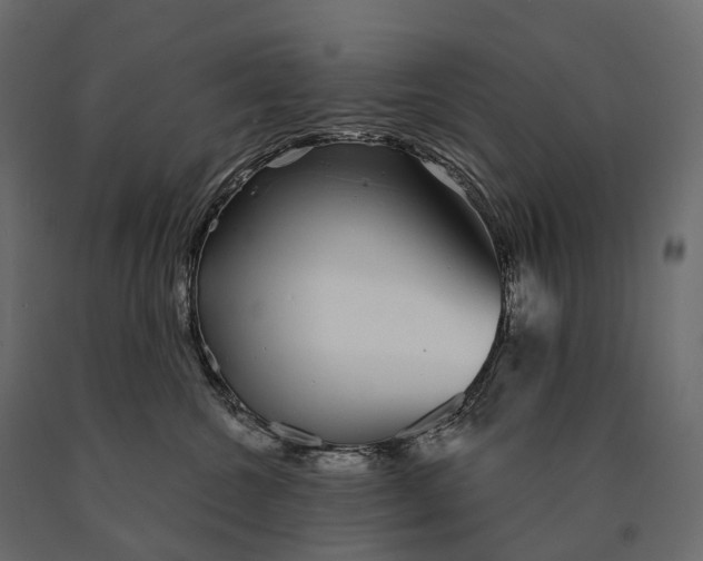 X0000090460572200708031244