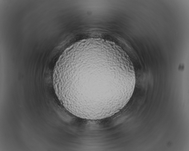 X0000090460573200708031244