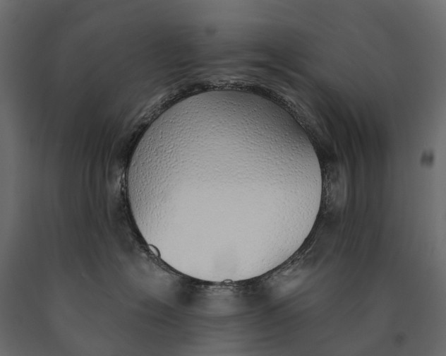 X0000090460574200708031244