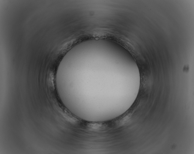 X0000090460575200708031244