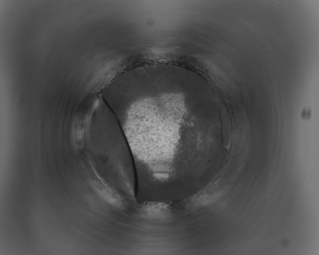 X0000090460576200708031244