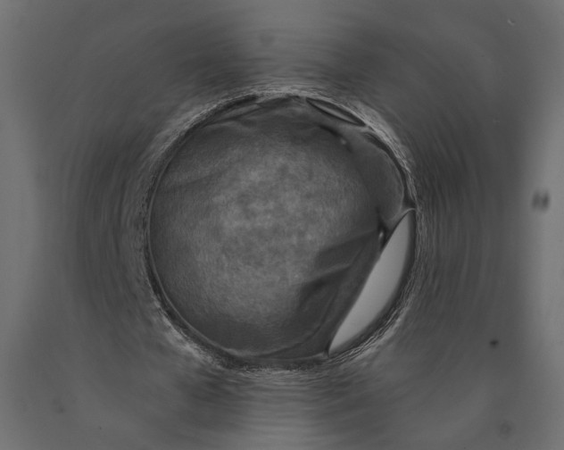 X0000090460577200708031243