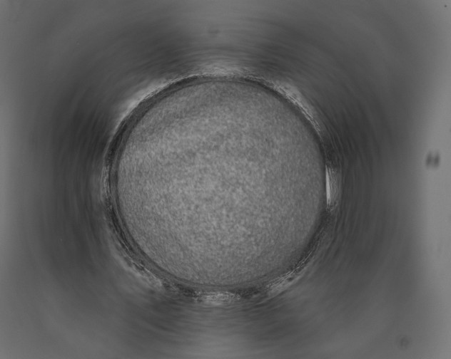 X0000090460579200708031243