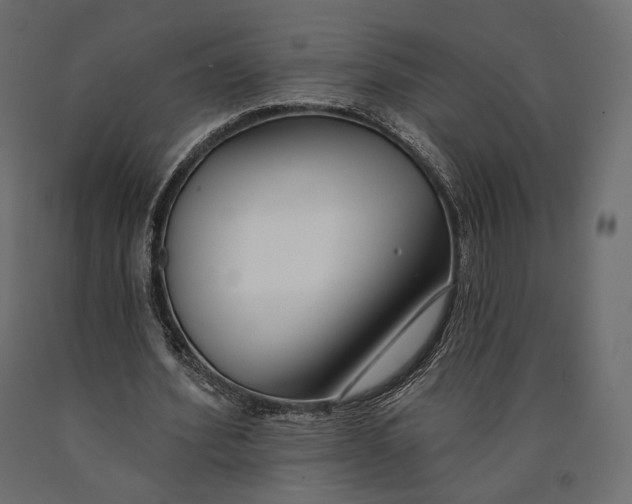 X0000090460580200708031243