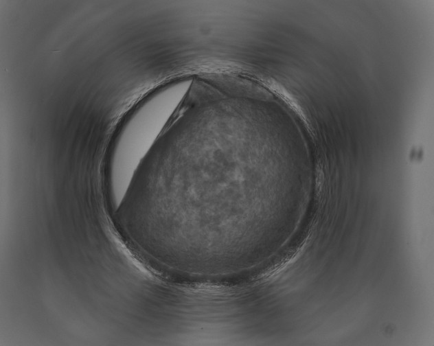 X0000090460581200708031243