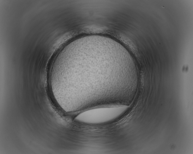 X0000090460582200708031243