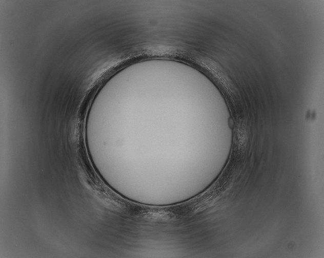 X0000090460583200708031243