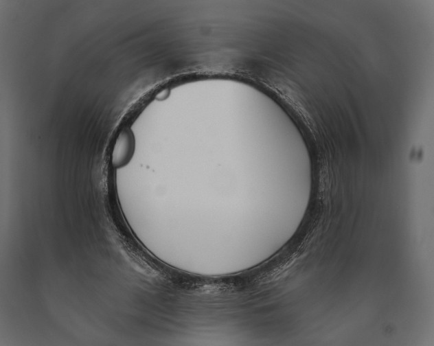 X0000090460584200708031243