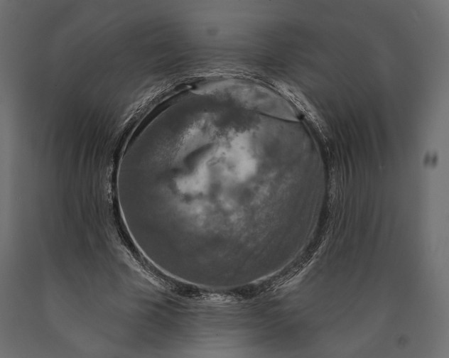 X0000090460585200708031243