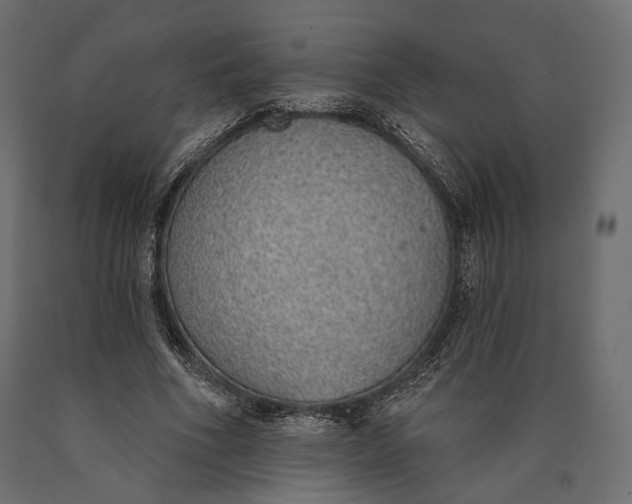 X0000090460586200708031243