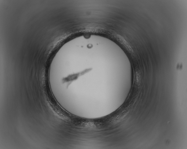 X0000090460588200708031243
