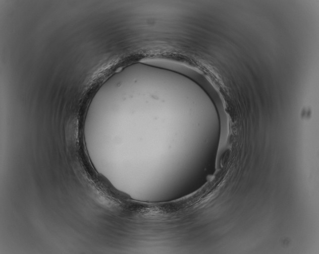 X0000090460589200708031243