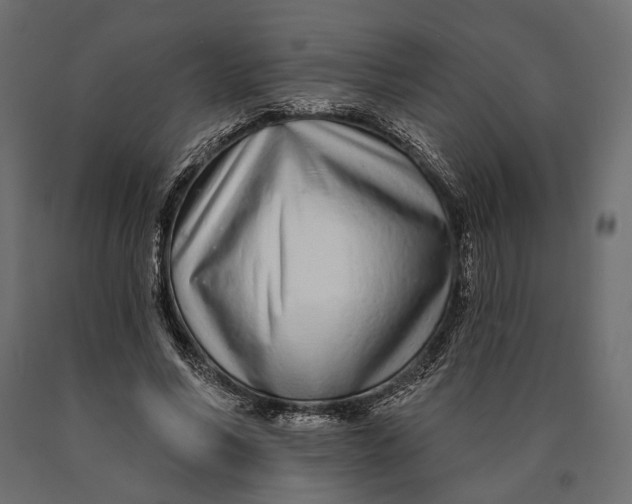X0000090460590200708031243