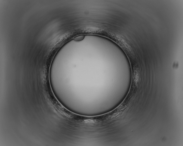 X0000090460591200708031243