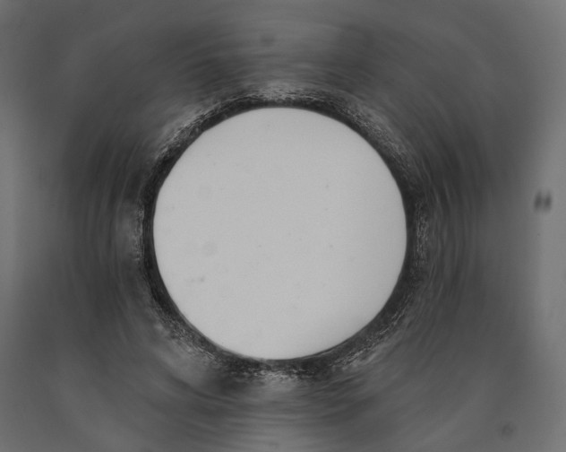 X0000090460592200708031243