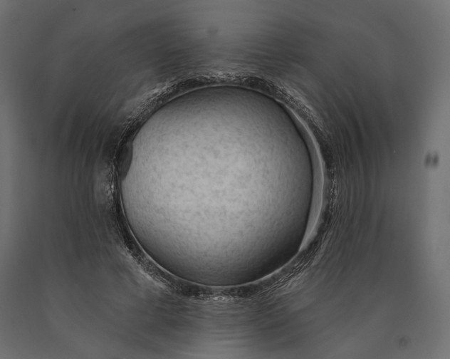 X0000090460593200708031243