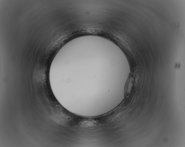 X0000090460595200708031243