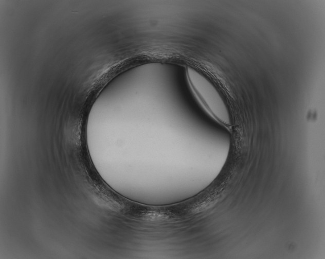 X0000090460596200708031243