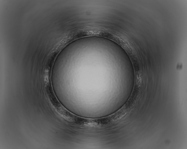X0000090460598200708031243