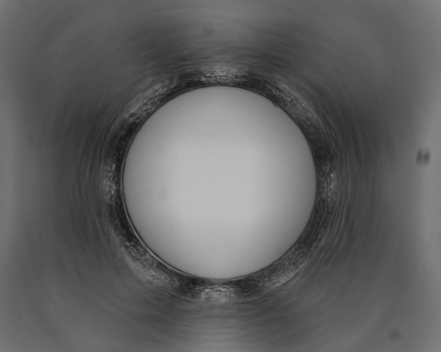 X0000090460599200708031243