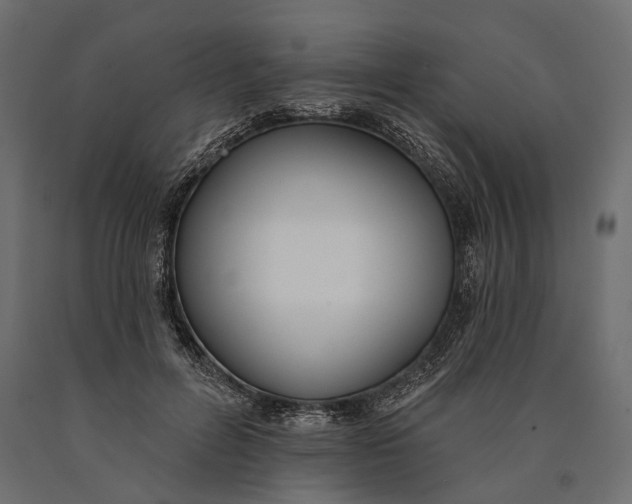 X0000090460600200708031243
