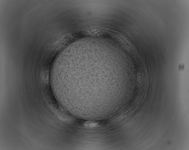 X0000090460602200708031243