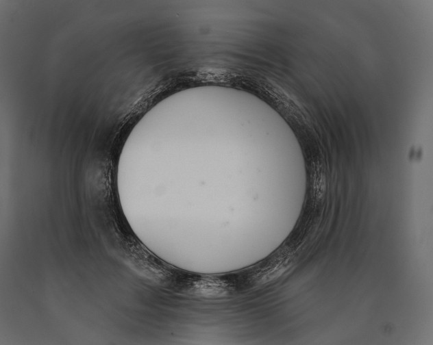 X0000090460603200708031243