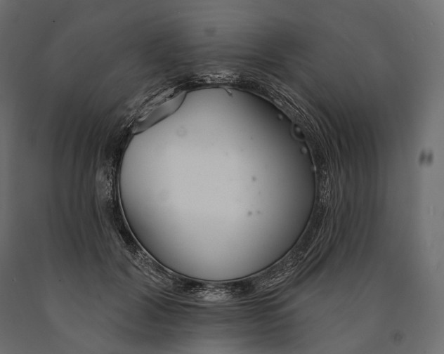 X0000090460604200708031243