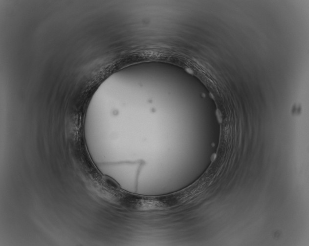 X0000090460605200708031243