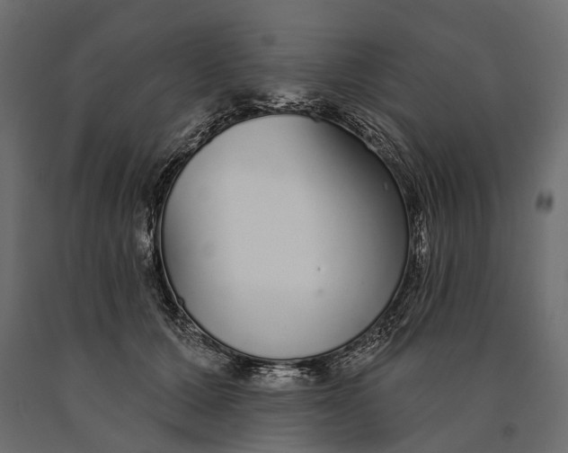 X0000090460607200708031243