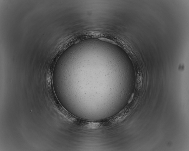 X0000090460609200708031243