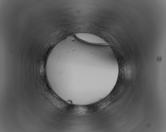 X0000090460610200708031243