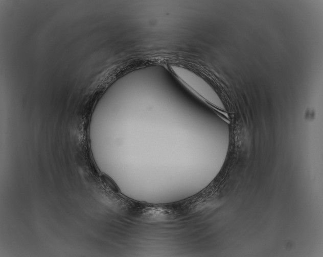 X0000090460611200708031243
