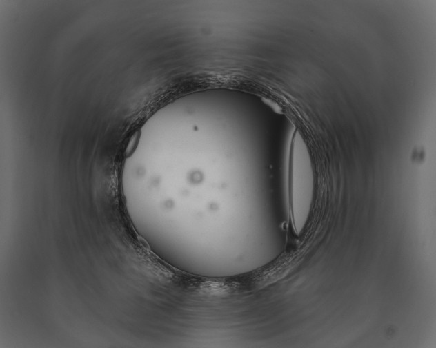 X0000090460613200708031243