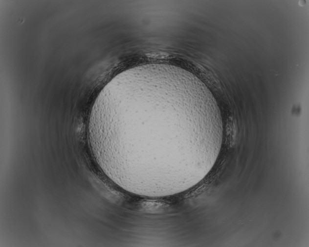 X0000090460614200708031243