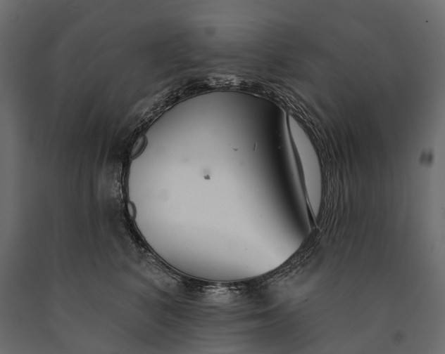 X0000090460616200708031243
