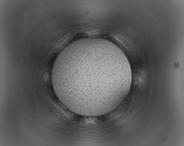X0000090460618200708031243
