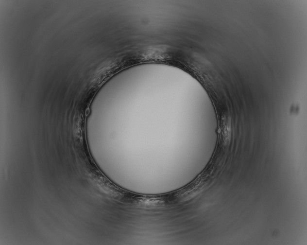 X0000090460619200708031243