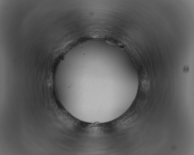 X0000090460620200708031243