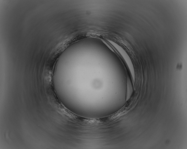 X0000090460621200708031243