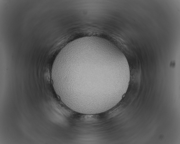 X0000090460622200708031243