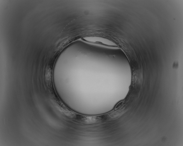 X0000090460623200708031243
