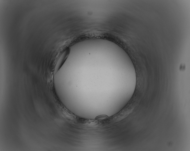 X0000090460624200708031243