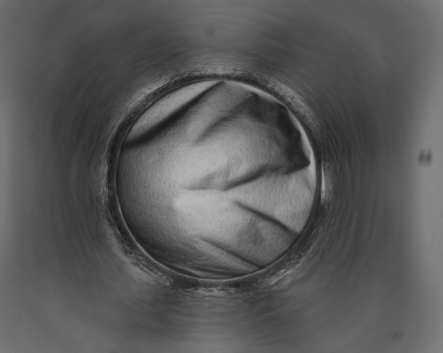 X0000090460627200708031242