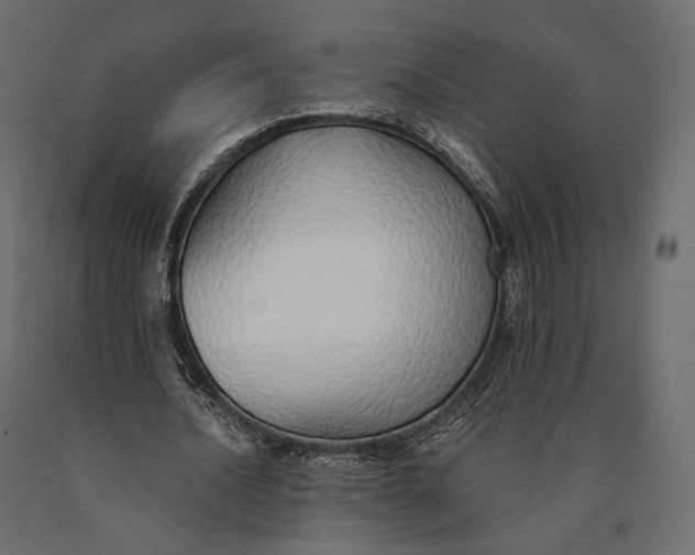 X0000090460628200708031242