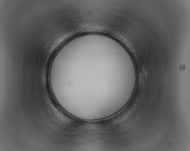 X0000090460629200708031242