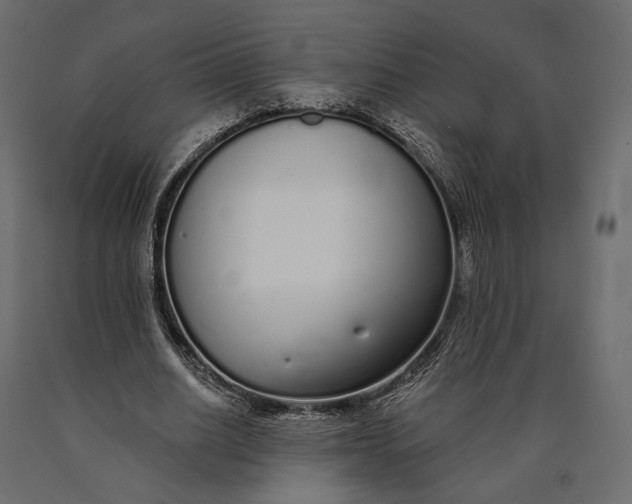 X0000090460630200708031242